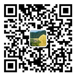 大财神app
